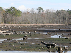 sao-paulo-merece-e-precisa-viver-o-horror-da-falta-de-agua-leonardo-sakamoto-sustentabilidade-ecologia-preservacao